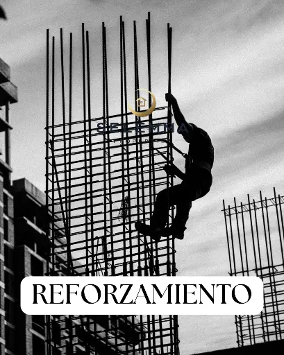 LICENCIA DE REFORZAMIENTO